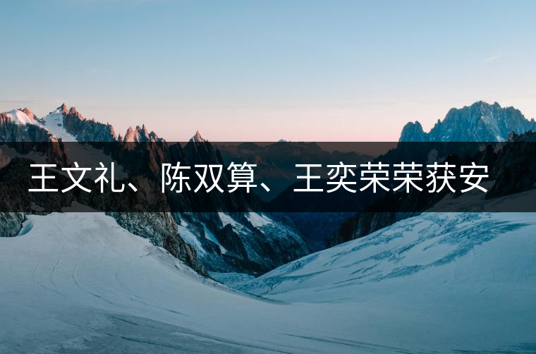 王文禮、陳雙算、王奕榮榮獲安溪茶界三杰