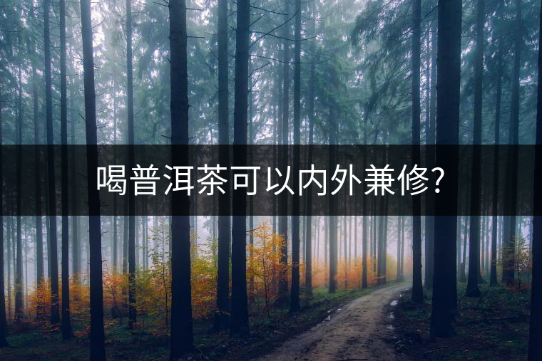 喝普洱茶可以內(nèi)外兼修? 喝普洱茶可以內(nèi)外兼修?
