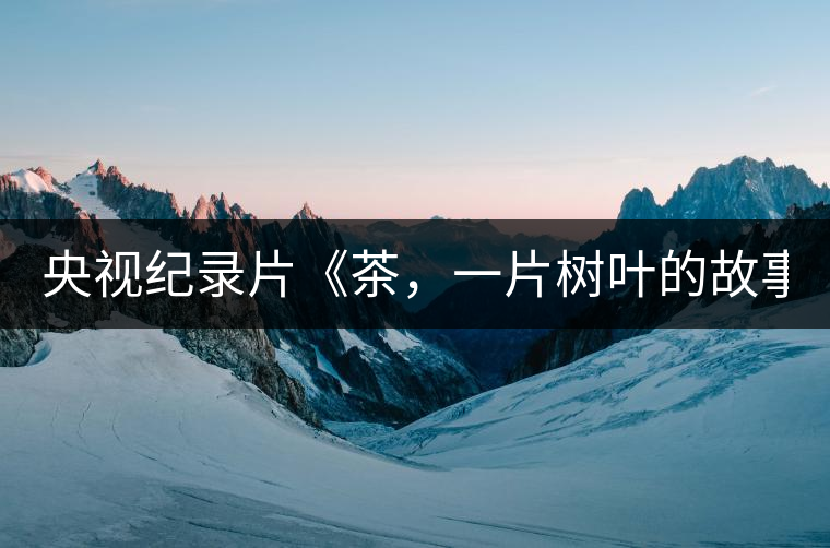 央視紀(jì)錄片《茶，一片樹葉的故事》紀(jì)錄片 昨晚開播