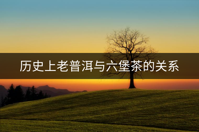 歷史上老普洱與六堡茶的關系