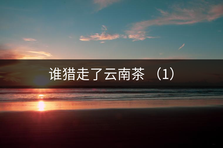 誰(shuí)獵走了云南茶 (1) 誰(shuí)獵走了云南茶 (1)