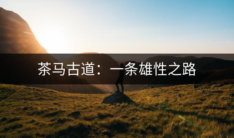 茶馬古道:一條雄性之路 茶馬古道:一條雄性之路