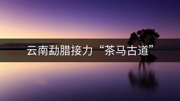 云南勐臘接力“茶馬古道”