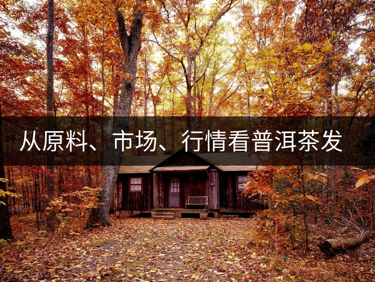 從原料、市場(chǎng)、行情看普洱茶發(fā)展大勢(shì)