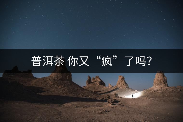普洱茶 你又“瘋”了嗎？