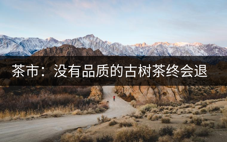 茶市:沒有品質的古樹茶終會退出市場 茶市:沒有品質的古樹茶終會退出市場
