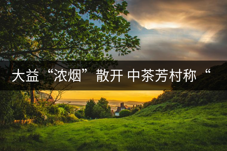 大益“濃煙”散開 中茶芳村稱“王”？