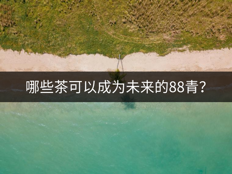 哪些茶可以成為未來(lái)的88青？