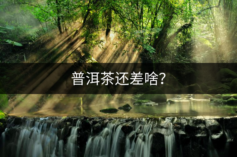 普洱茶還差啥？