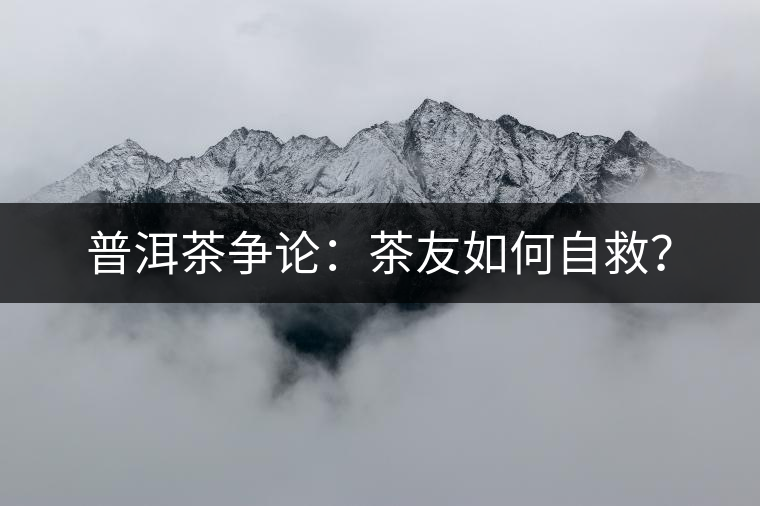 普洱茶爭論：茶友如何自救？