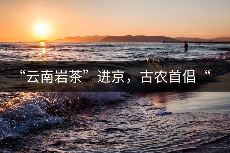 “云南巖茶”進京，古農(nóng)首倡“名茶+名企”戰(zhàn)略
