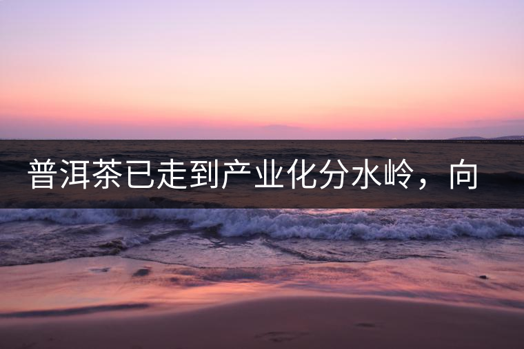 普洱茶已走到產(chǎn)業(yè)化分水嶺，向左還是向右？