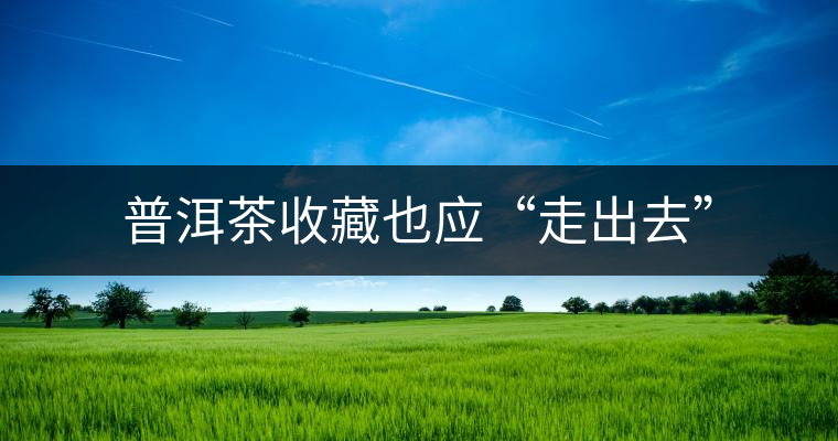 普洱茶收藏也應“走出去”