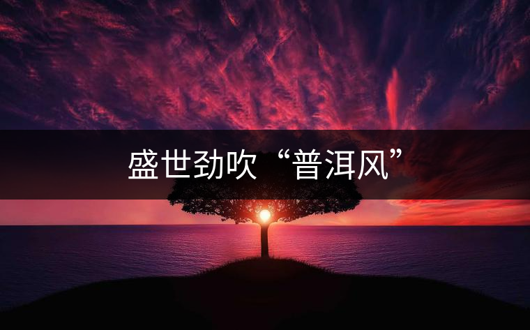 盛世勁吹“普洱風(fēng)” 盛世勁吹“普洱風(fēng)”