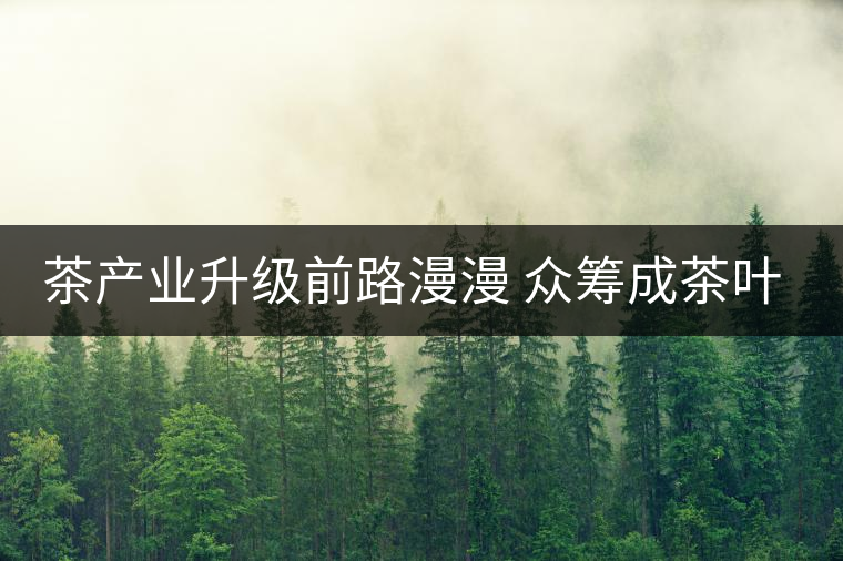 茶產業(yè)升級前路漫漫 眾籌成茶葉營銷新寵