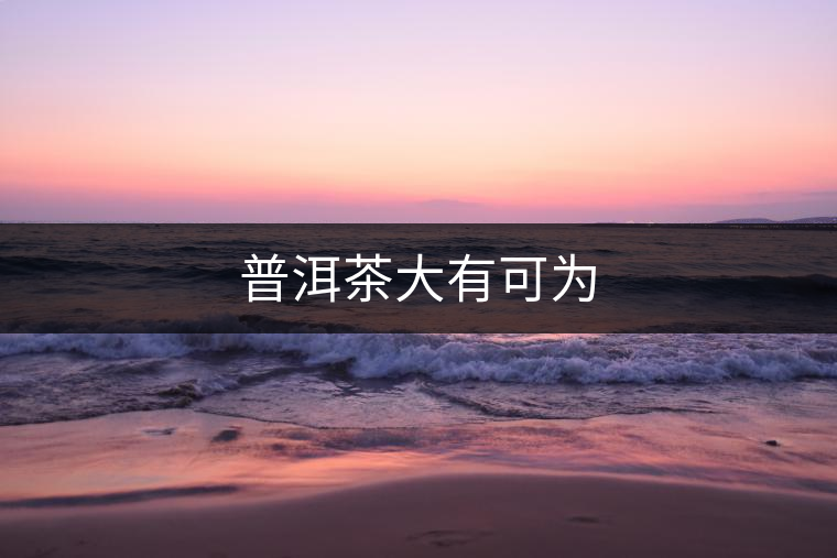 普洱茶大有可為 普洱茶大有可為