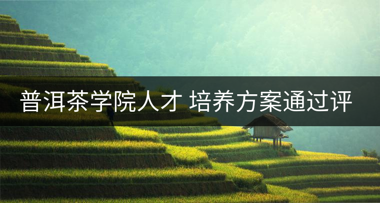 普洱茶學(xué)院人才 培養(yǎng)方案通過評審 普洱茶學(xué)院人才 培養(yǎng)方案通過評審