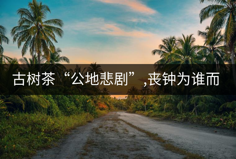 古樹(shù)茶“公地悲劇”,喪鐘為誰(shuí)而鳴！