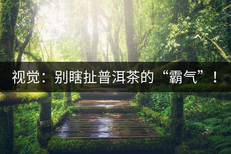 視覺(jué)：別瞎扯普洱茶的“霸氣”！偽大師！