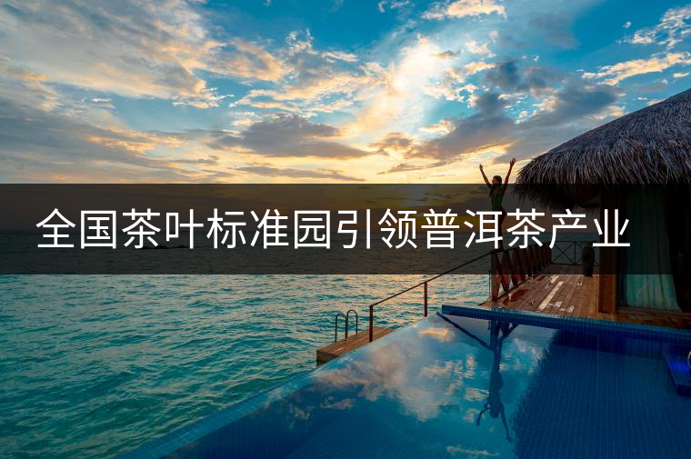 全國茶葉標準園引領(lǐng)普洱茶產(chǎn)業(yè)發(fā)展