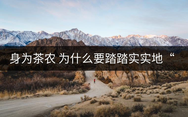 身為茶農(nóng) 為什么要踏踏實實地“放毒”！