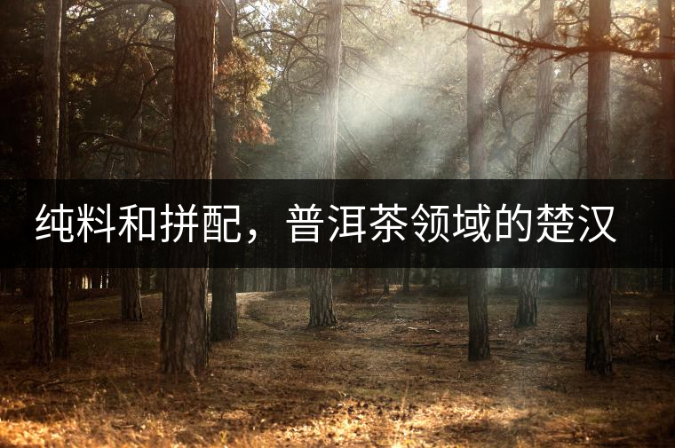 純料和拼配，普洱茶領(lǐng)域的楚漢之爭