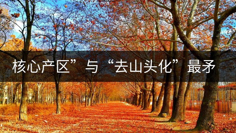 核心產(chǎn)區(qū)”與“去山頭化”最矛盾的市場(chǎng)抉擇 核心產(chǎn)區(qū)”與“去山頭化”最矛盾的市場(chǎng)抉擇