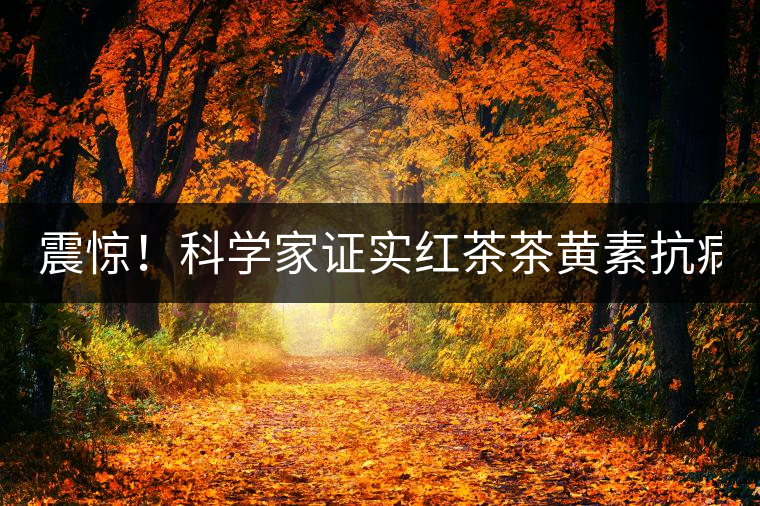 震驚！科學(xué)家證實(shí)紅茶茶黃素抗病毒新功能！