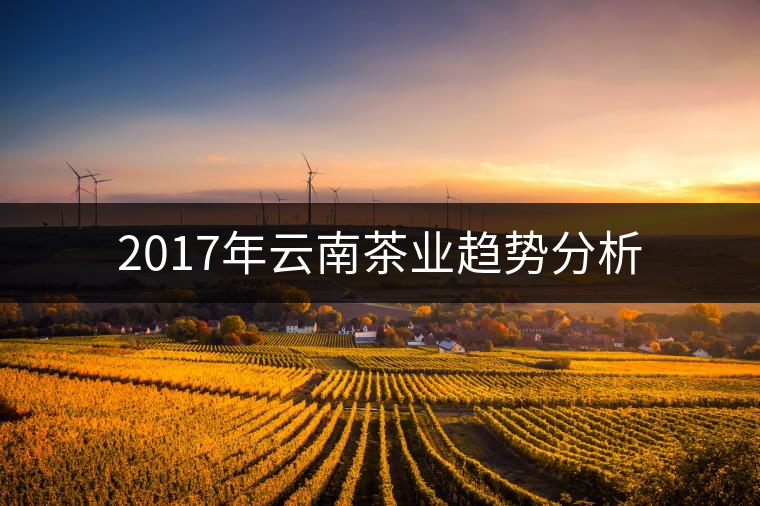 2017年云南茶業(yè)趨勢分析 2017年云南茶業(yè)趨勢分析