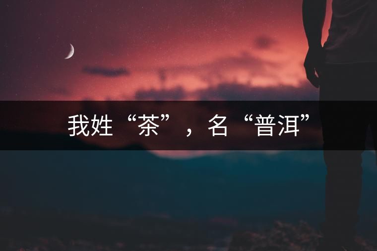 我姓“茶”，名“普洱”