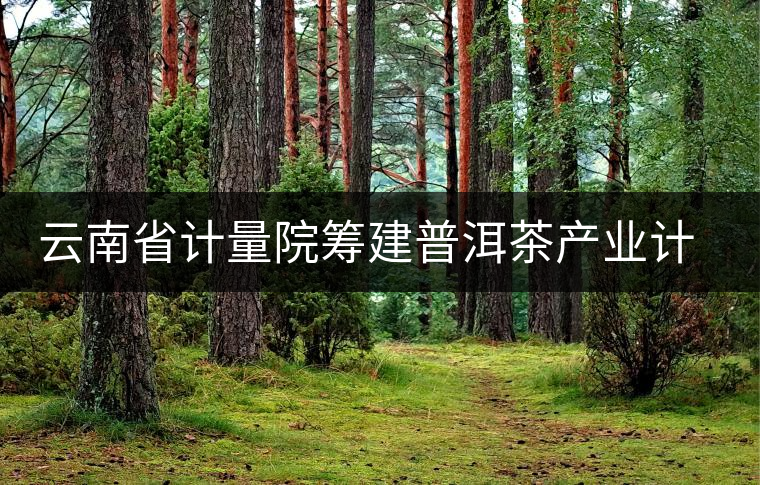 云南省計(jì)量院籌建普洱茶產(chǎn)業(yè)計(jì)量測(cè)試中心 云南省計(jì)量院籌建普洱茶產(chǎn)業(yè)計(jì)量測(cè)試中心