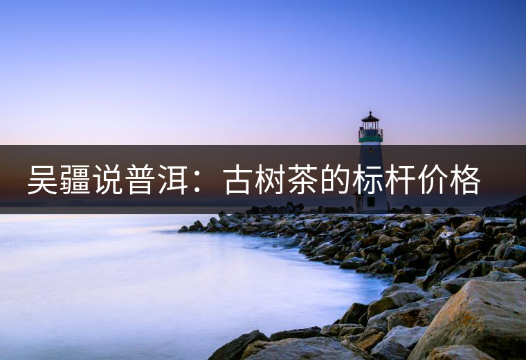 吳疆說(shuō)普洱：古樹(shù)茶的標(biāo)桿價(jià)格在哪里？