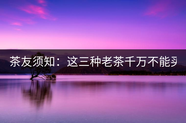 茶友須知：這三種老茶千萬不能買！