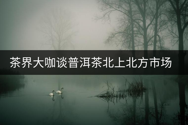 茶界大咖談普洱茶北上北方市場的潛力及突破口