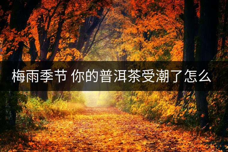 梅雨季節(jié) 你的普洱茶受潮了怎么辦？