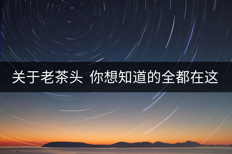 關于老茶頭  你想知道的全都在這兒啦！
