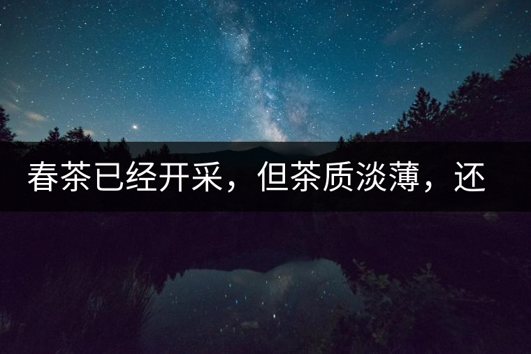 春茶已經(jīng)開(kāi)采，但茶質(zhì)淡薄，還需一兩周