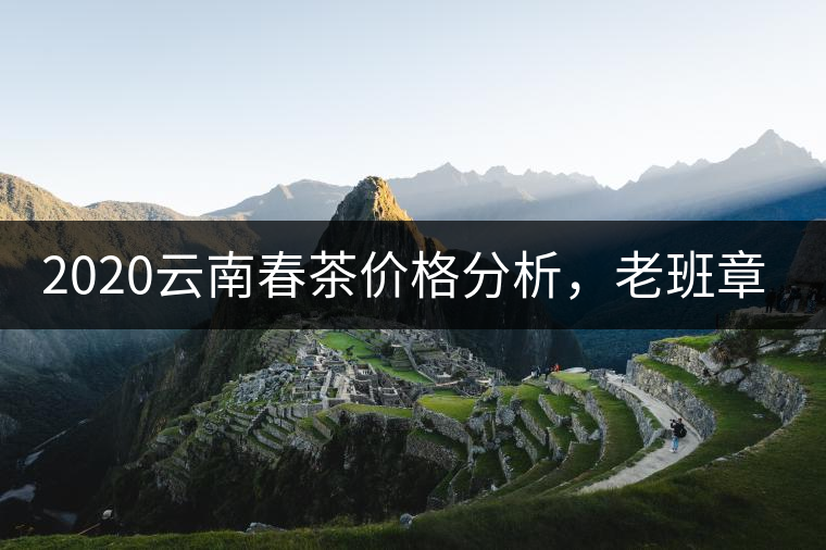 2020云南春茶價(jià)格分析，老班章依然將獨(dú)占鰲頭？