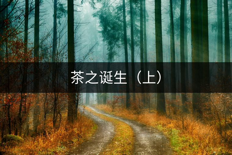 茶之誕生（上）