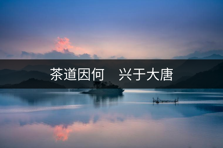 茶道因何 興于大唐 茶道因何 興于大唐