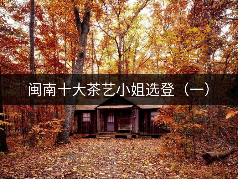 閩南十大茶藝小姐選登(一) 閩南十大茶藝小姐選登(一)