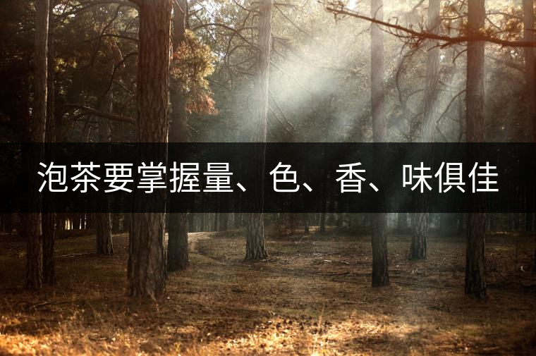 泡茶要掌握量、色、香、味俱佳