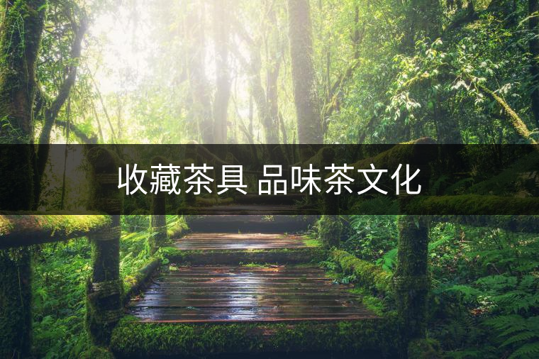 收藏茶具 品味茶文化 收藏茶具 品味茶文化