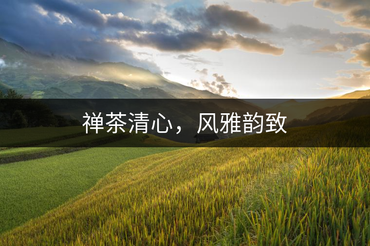 禪茶清心，風(fēng)雅韻致