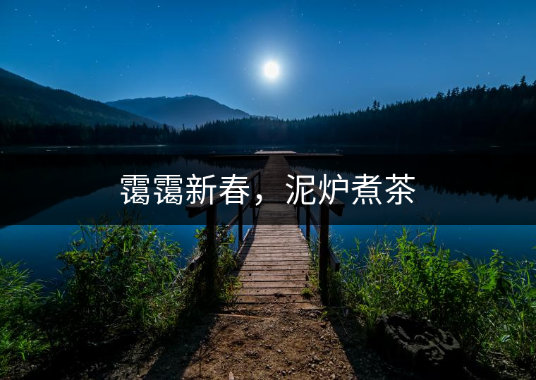 靄靄新春，泥爐煮茶