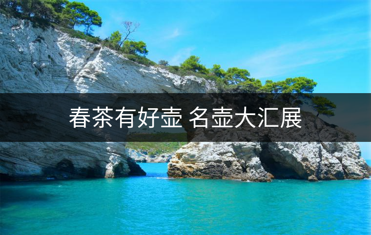 春茶有好壺 名壺大匯展 春茶有好壺 名壺大匯展