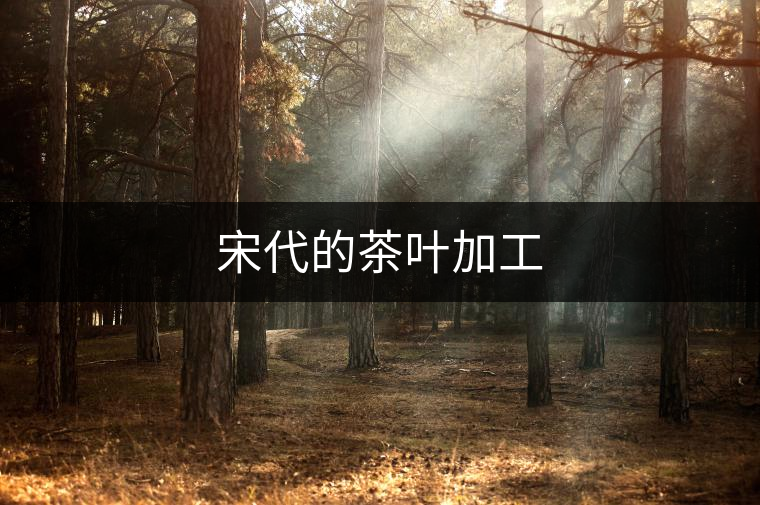 宋代的茶葉加工