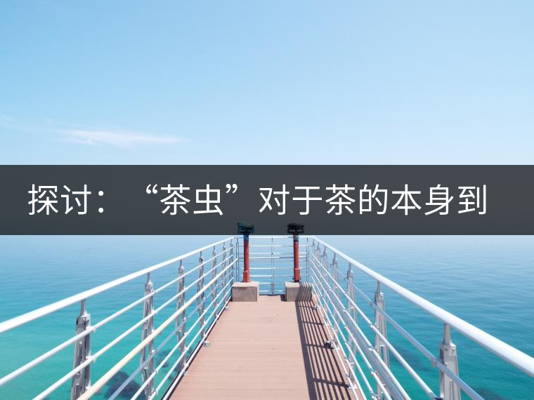 探討：“茶蟲”對于茶的本身到底是好是壞？