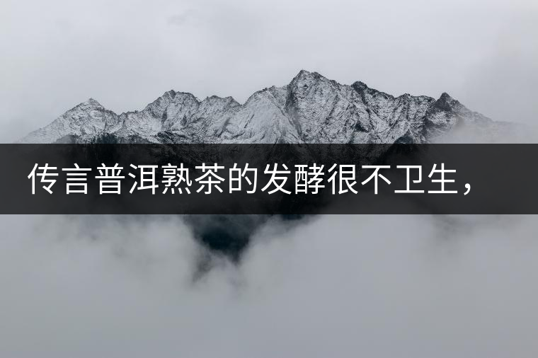 傳言普洱熟茶的發(fā)酵很不衛(wèi)生，是真的嗎？