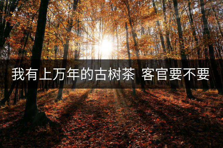 我有上萬年的古樹茶  客官要不要嘗嘗？